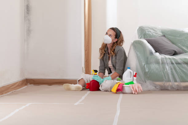 Reliable Mold Remediation contractor in Audubon, NJ by Cheap Mold Removal